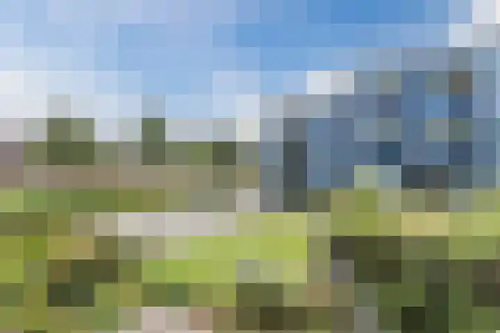 Ladogameerhof 276 Amsterdam thumbnail 29