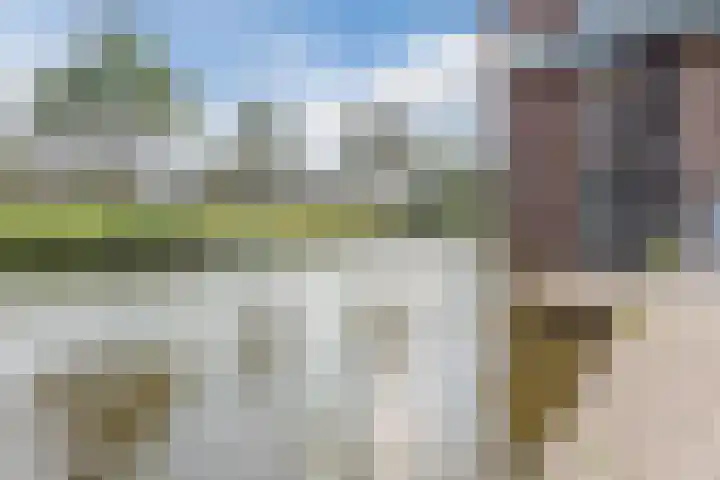 Ladogameerhof 276 Amsterdam thumbnail 30