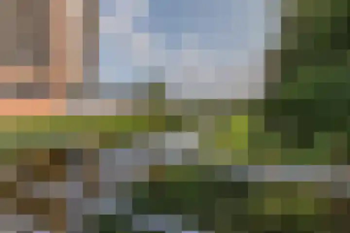 Ladogameerhof 276 Amsterdam thumbnail 31