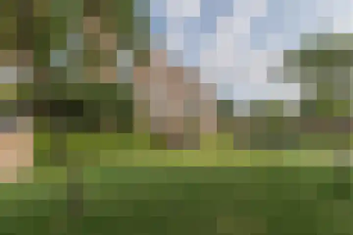 Ladogameerhof 276 Amsterdam thumbnail 32