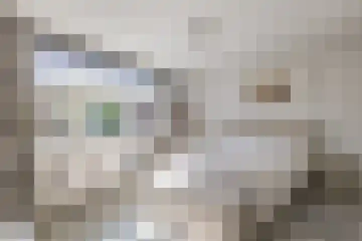 Ladogameerhof 276 Amsterdam thumbnail 4