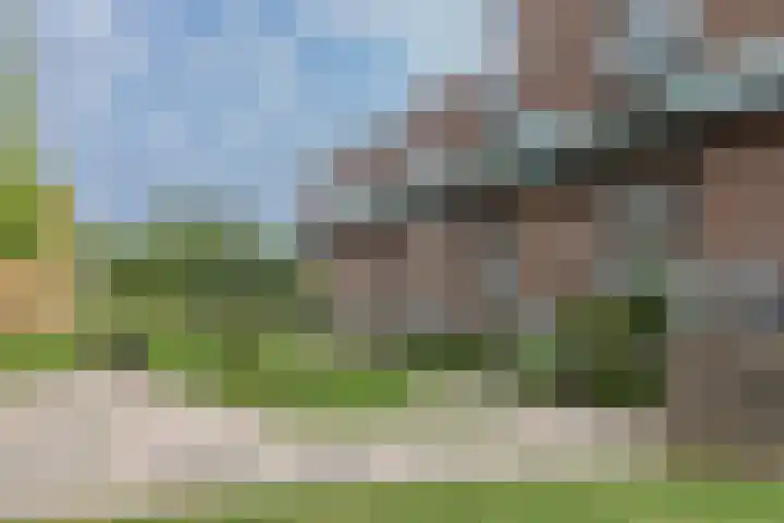 Ladogameerhof 276 Amsterdam thumbnail 5