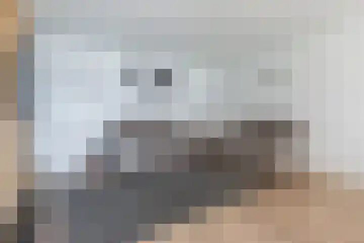 Ladogameerhof 276 Amsterdam thumbnail 8