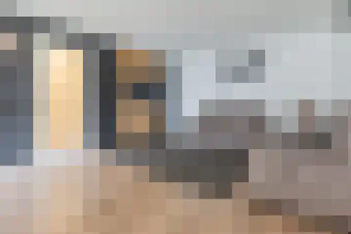 Ladogameerhof 276 Amsterdam thumbnail 9