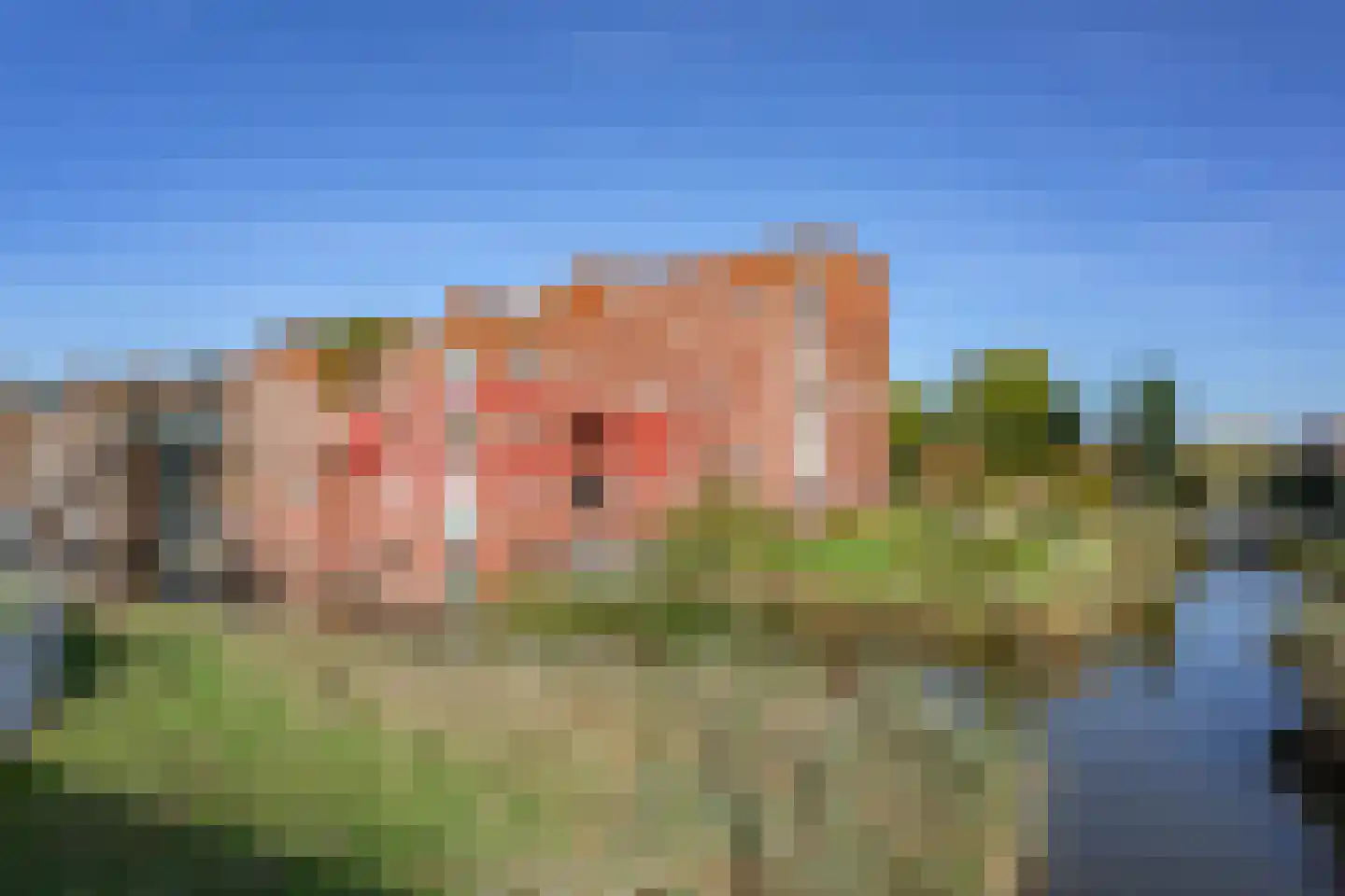 Ladogameerhof 296 Amsterdam