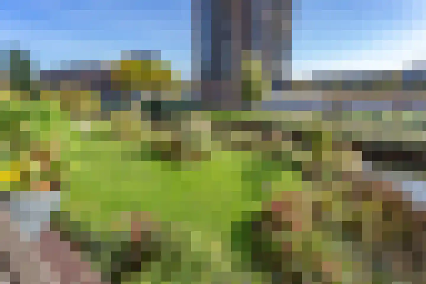 Ladogameerhof 296 Amsterdam thumbnail 26