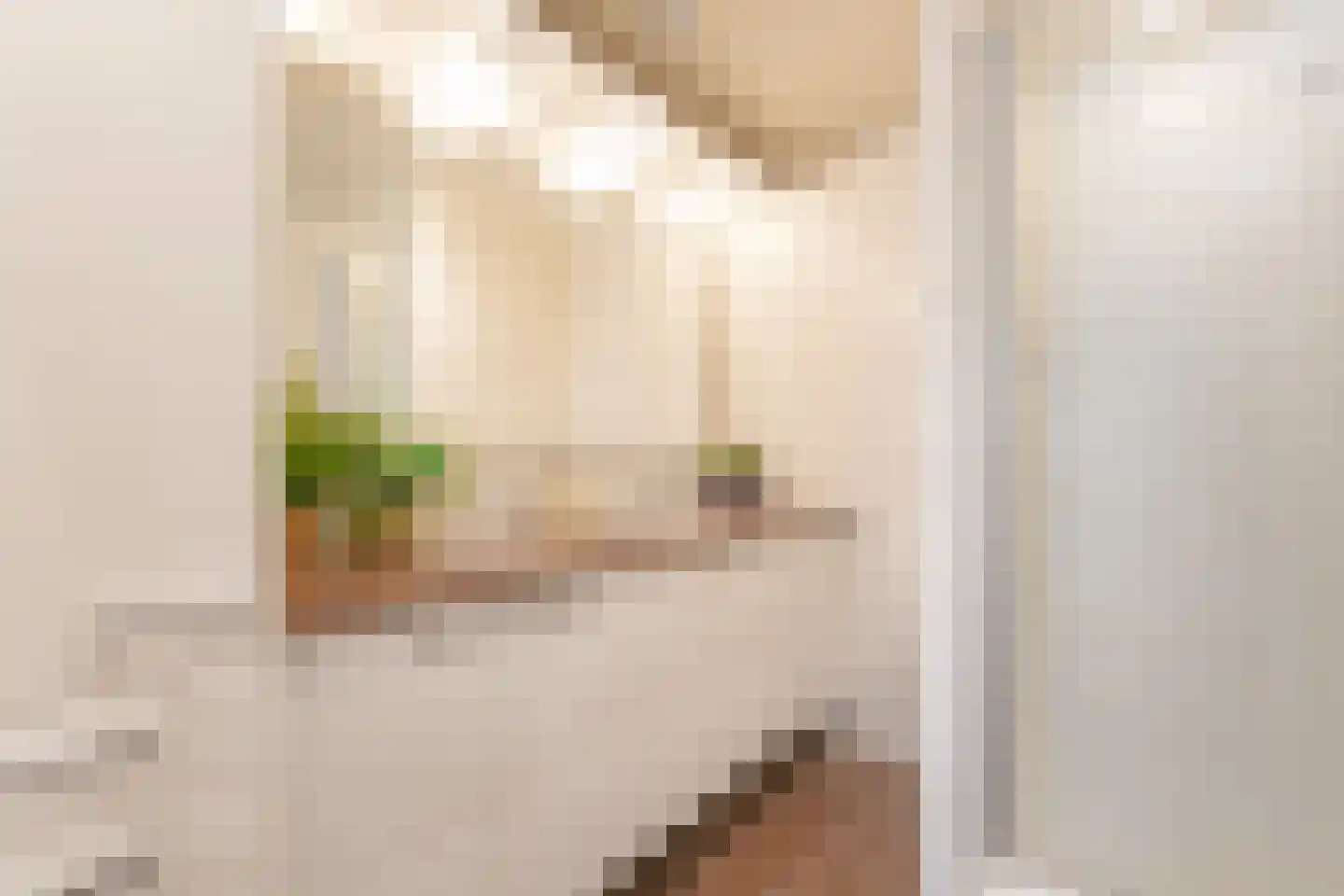 Ladogameerhof 296 Amsterdam thumbnail 30