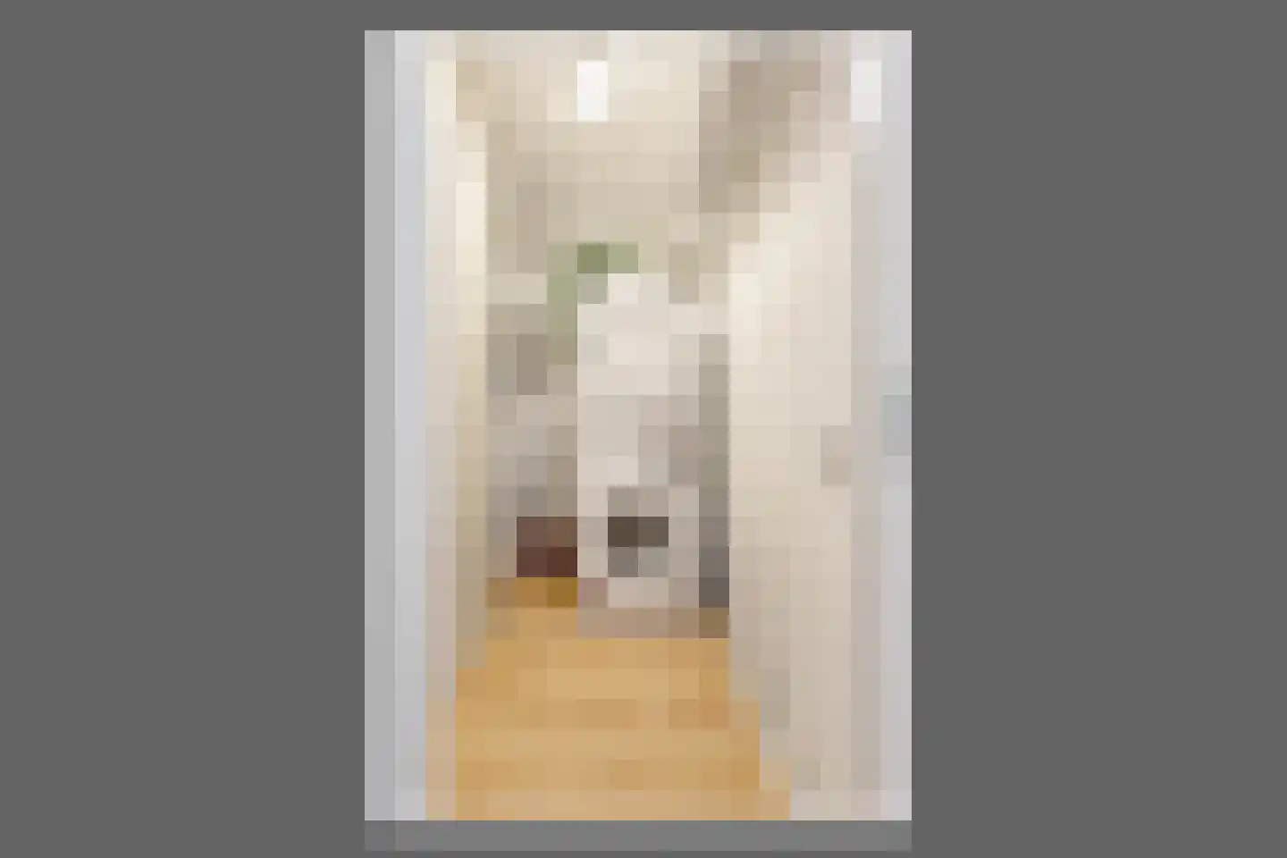 Ladogameerhof 296 Amsterdam thumbnail 32