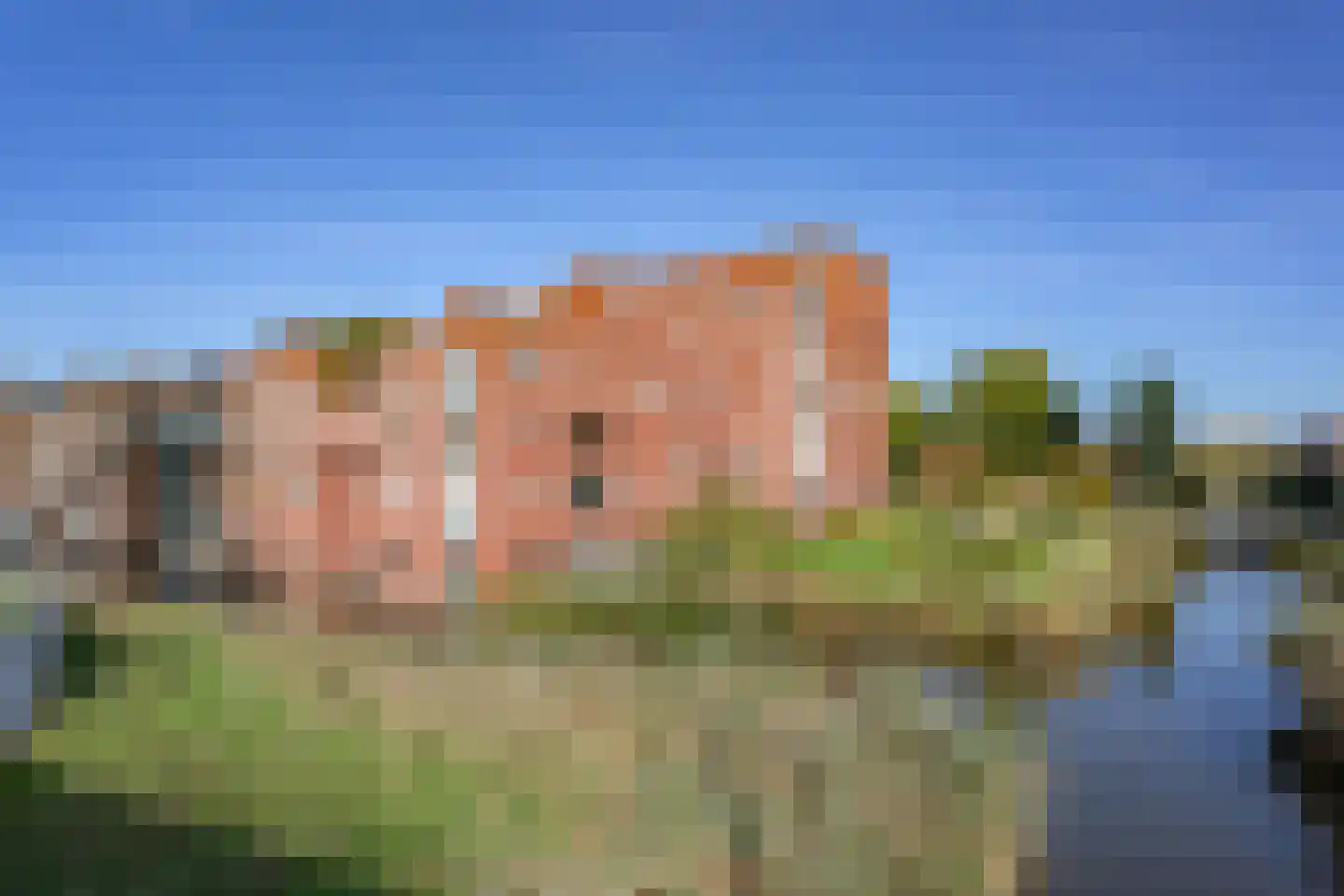 Ladogameerhof 296 Amsterdam thumbnail 38