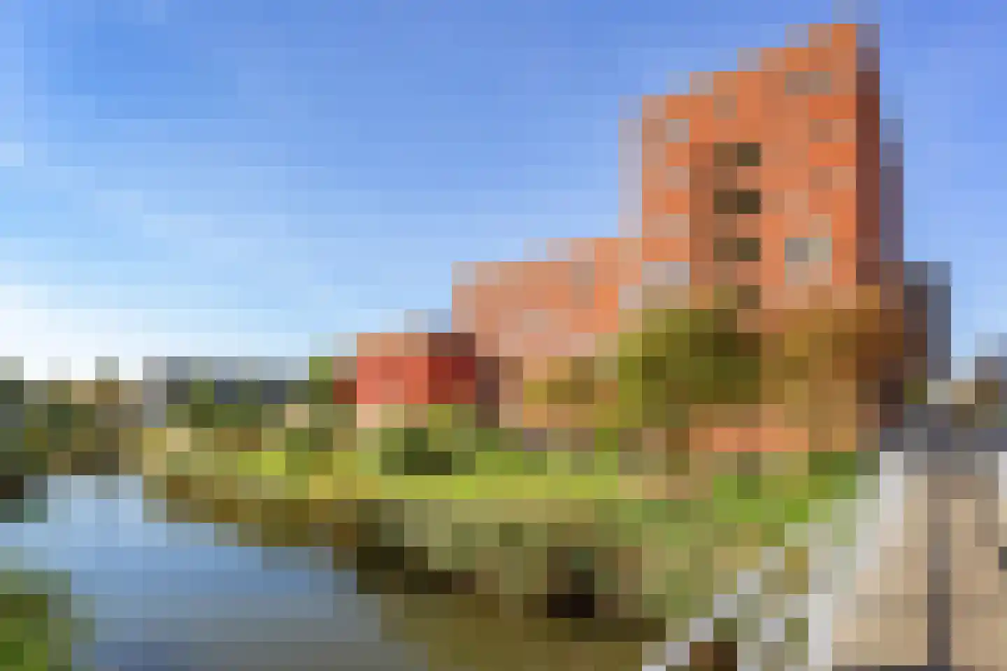 Ladogameerhof 296 Amsterdam thumbnail 39