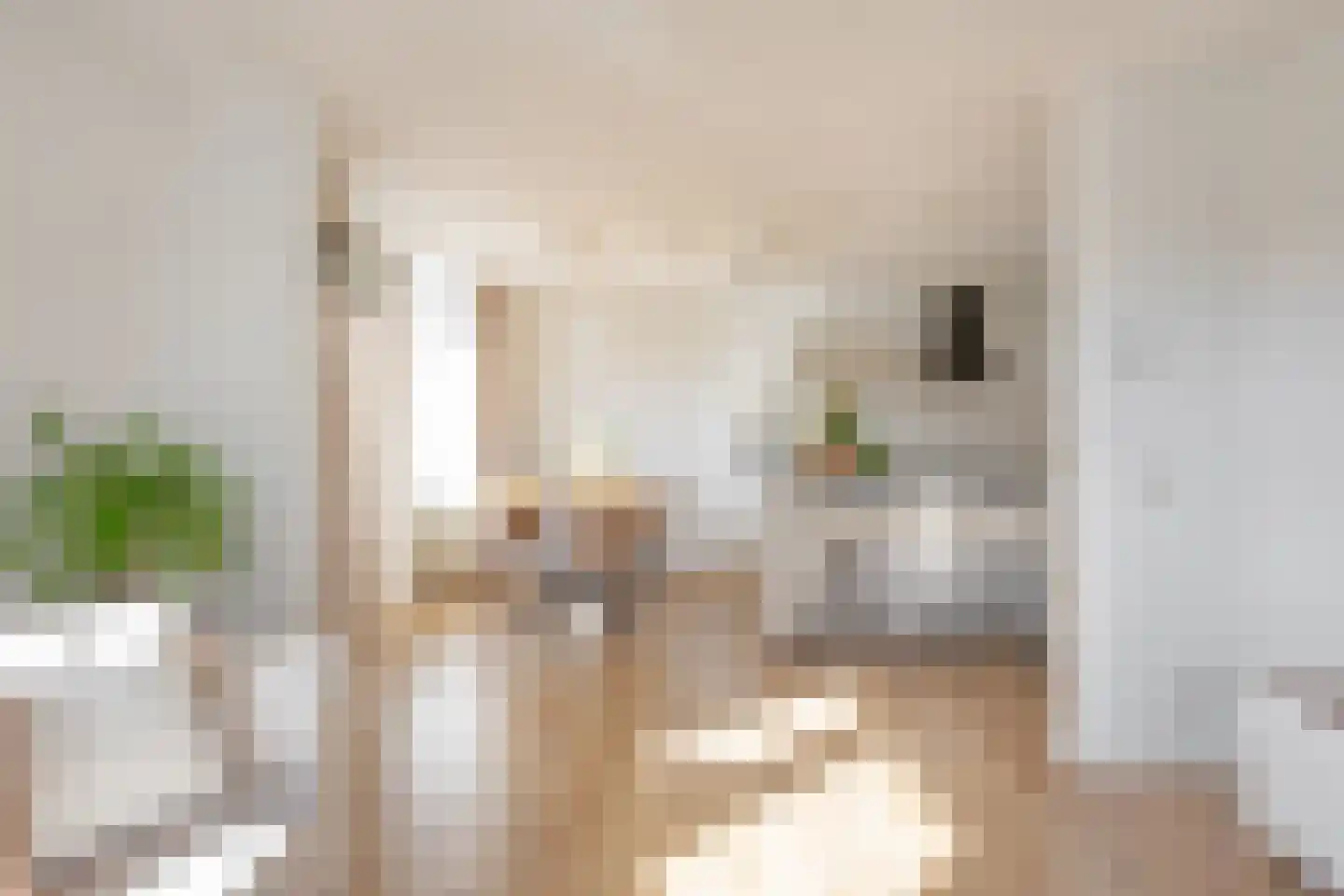 Ladogameerhof 296 Amsterdam thumbnail 7
