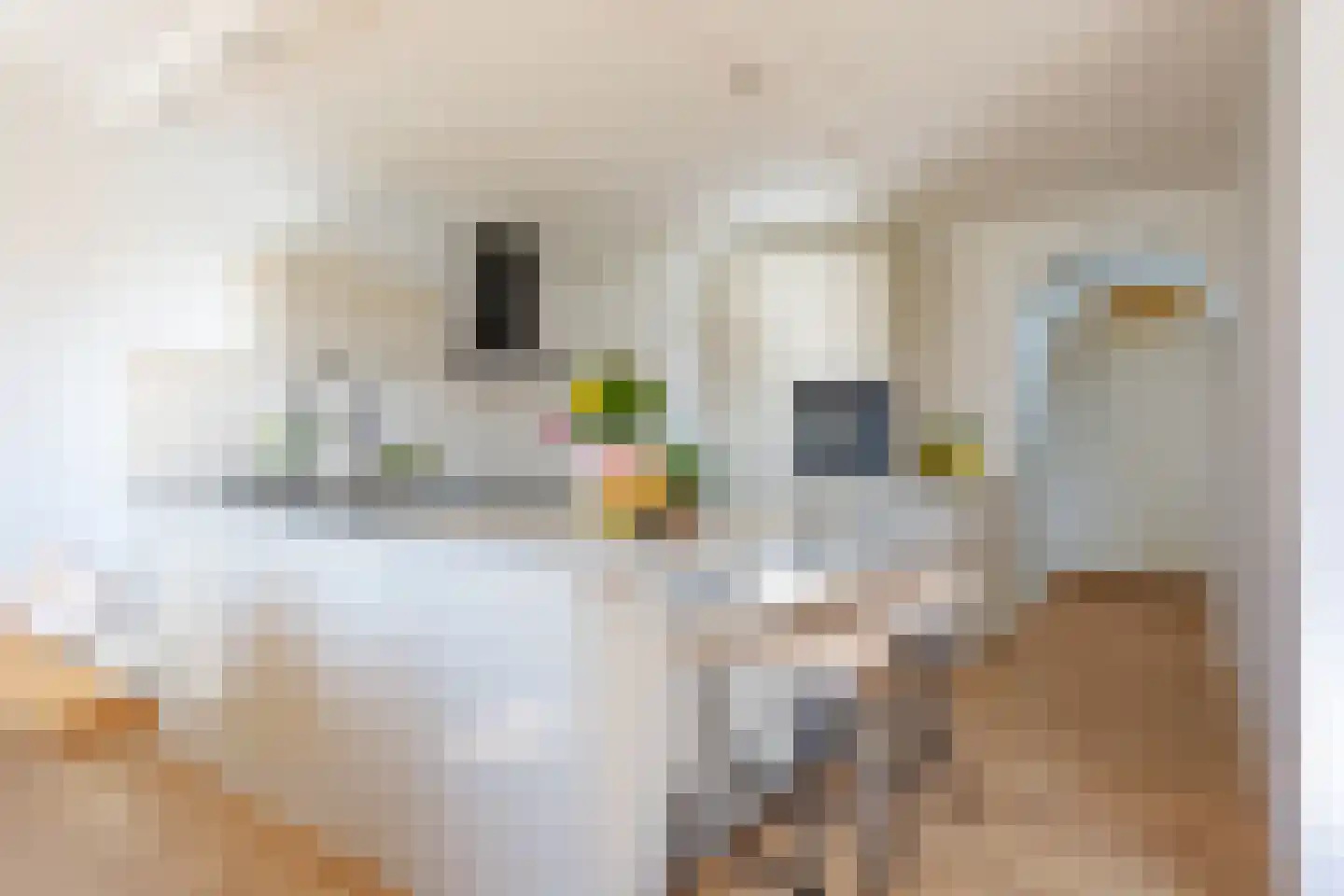 Ladogameerhof 296 Amsterdam thumbnail 9