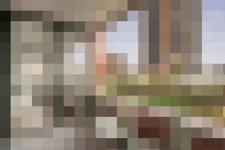 Ladogameerhof 297 Amsterdam thumbnail 16