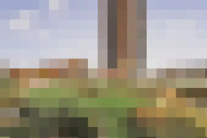 Ladogameerhof 297 Amsterdam thumbnail 17