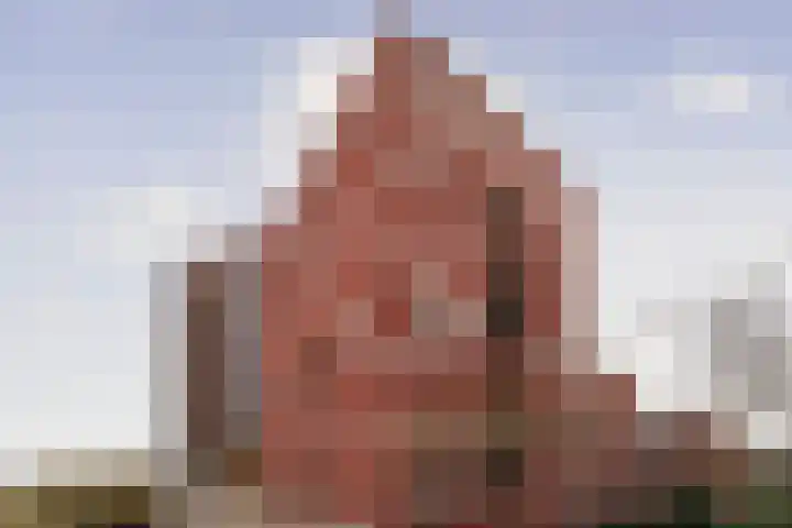 Ladogameerhof 297 Amsterdam thumbnail 18
