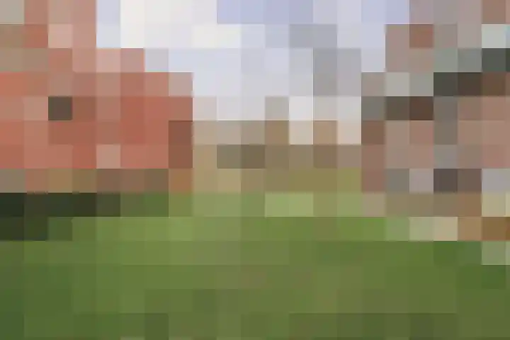 Ladogameerhof 297 Amsterdam thumbnail 19