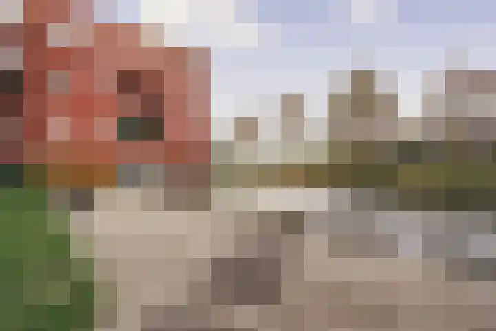 Ladogameerhof 297 Amsterdam thumbnail 20