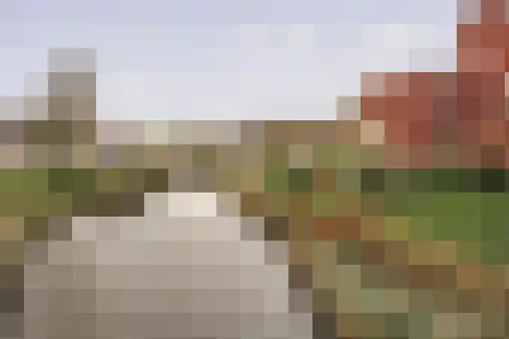 Ladogameerhof 297 Amsterdam thumbnail 21