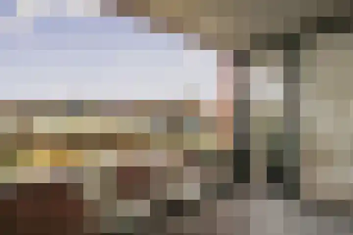 Ladogameerhof 297 Amsterdam thumbnail 5