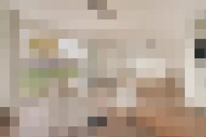 Ladogameerhof 297 Amsterdam thumbnail 8
