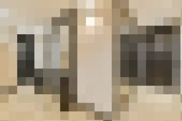 Ladogameerhof 302 Amsterdam thumbnail 10