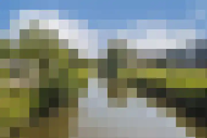 Ladogameerhof 302 Amsterdam thumbnail 17