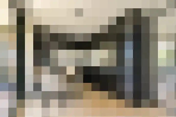 Ladogameerhof 302 Amsterdam thumbnail 4