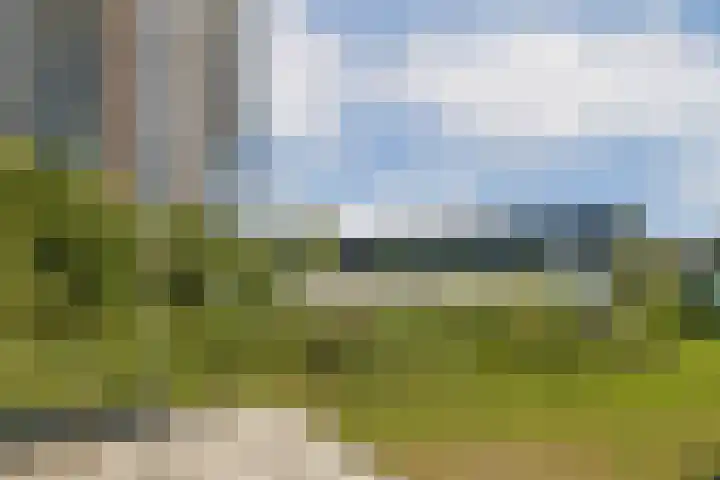 Ladogameerhof 302 Amsterdam thumbnail 6