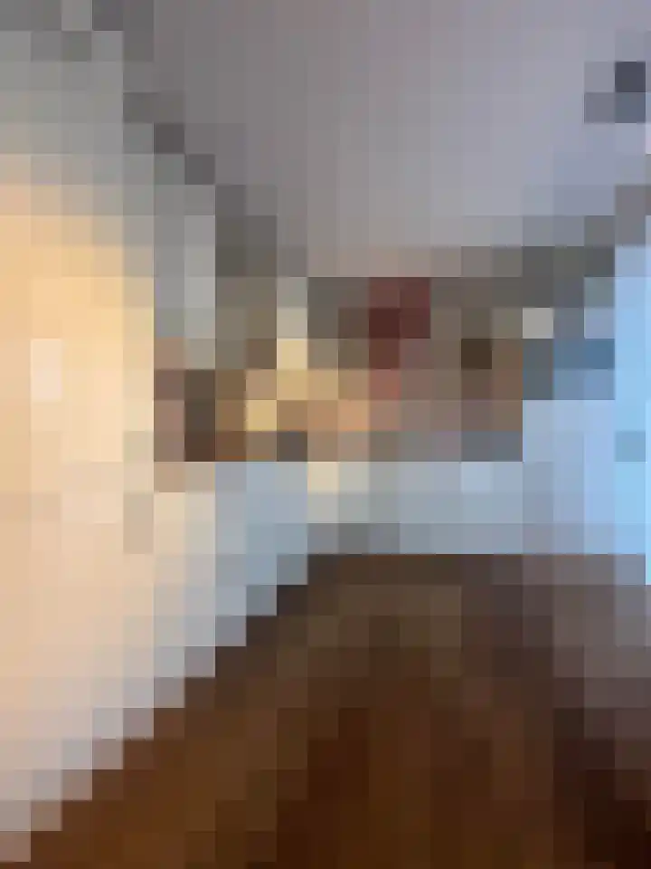Ladogameerhof 304 Amsterdam thumbnail 11