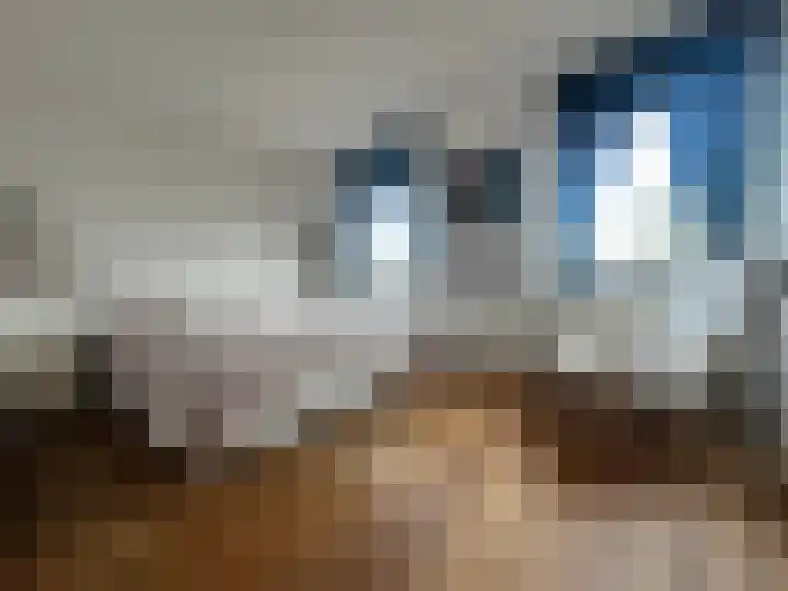 Ladogameerhof 304 Amsterdam thumbnail 14