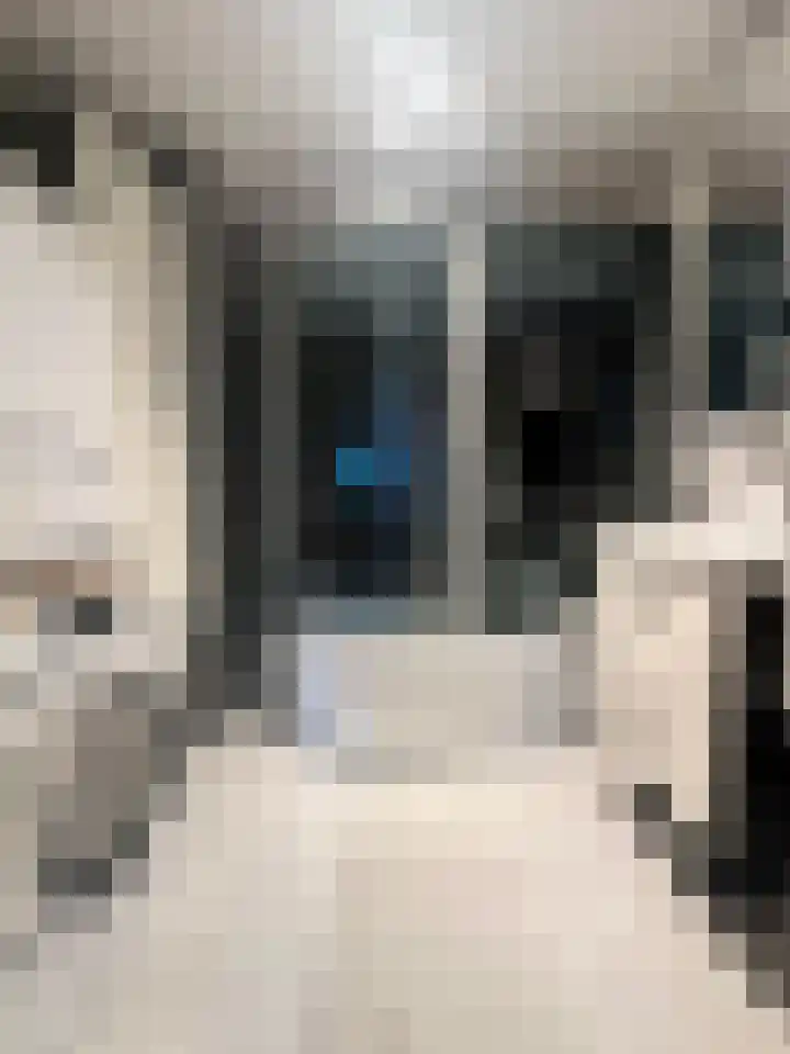 Ladogameerhof 304 Amsterdam thumbnail 18