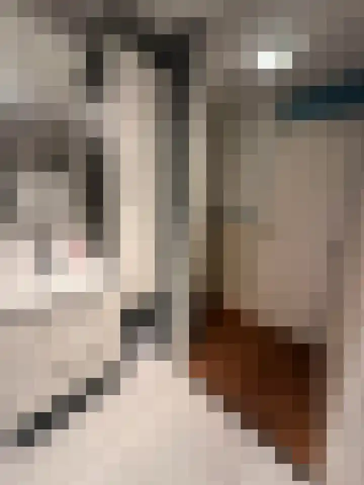 Ladogameerhof 304 Amsterdam thumbnail 19