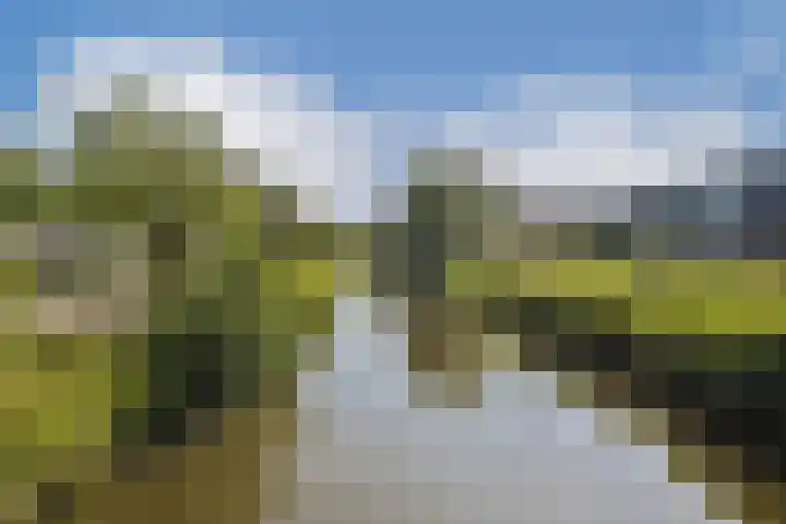 Ladogameerhof 304 Amsterdam thumbnail 23