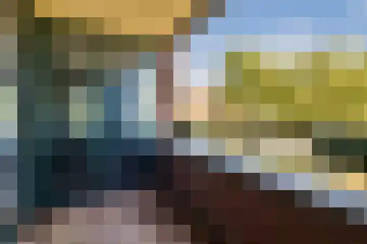 Ladogameerhof 304 Amsterdam thumbnail 6