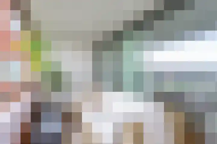 Ladogameerhof 307 Amsterdam thumbnail 14