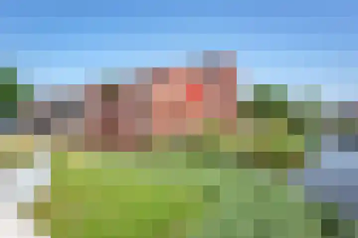 Ladogameerhof 307 Amsterdam thumbnail 29