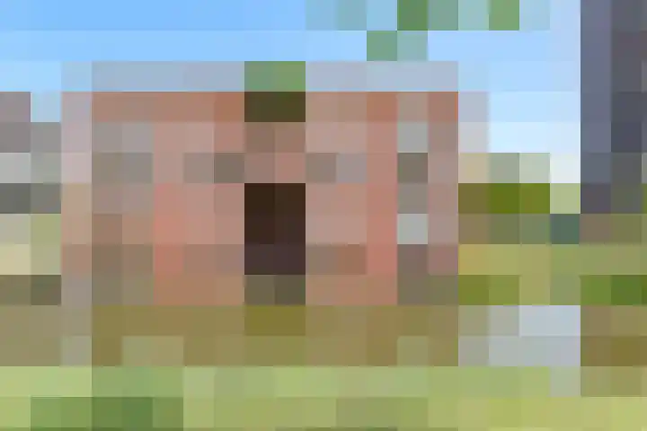 Ladogameerhof 307 Amsterdam thumbnail 30