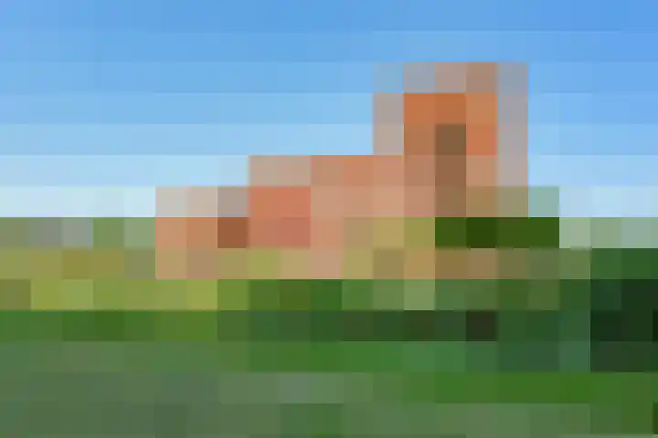 Ladogameerhof 307 Amsterdam thumbnail 31