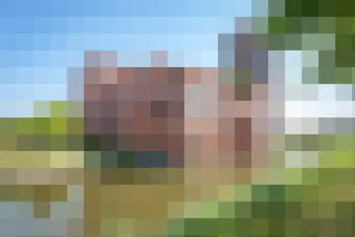Ladogameerhof 307 Amsterdam thumbnail 32
