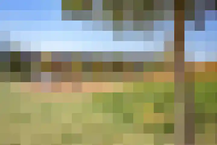 Ladogameerhof 307 Amsterdam thumbnail 33