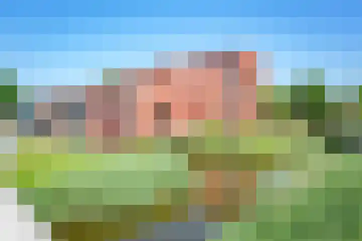 Ladogameerhof 307 Amsterdam thumbnail 41