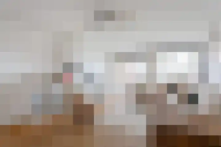 Ladogameerhof 307 Amsterdam thumbnail 6