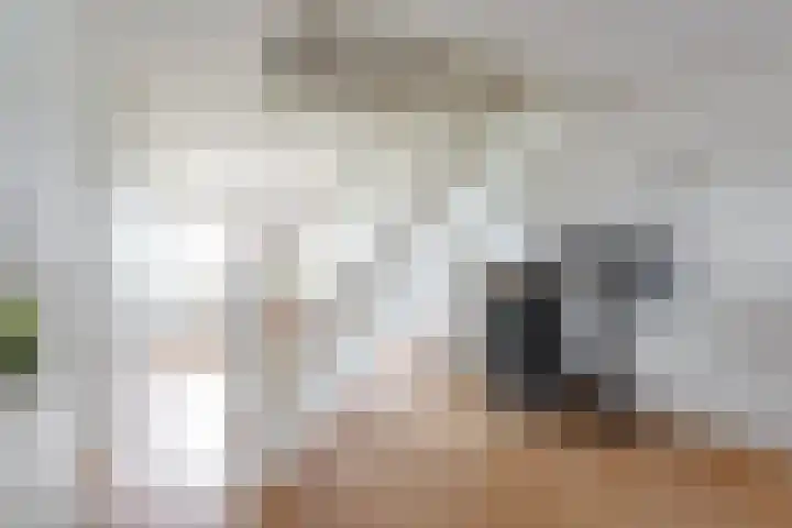 Ladogameerhof 307 Amsterdam thumbnail 8