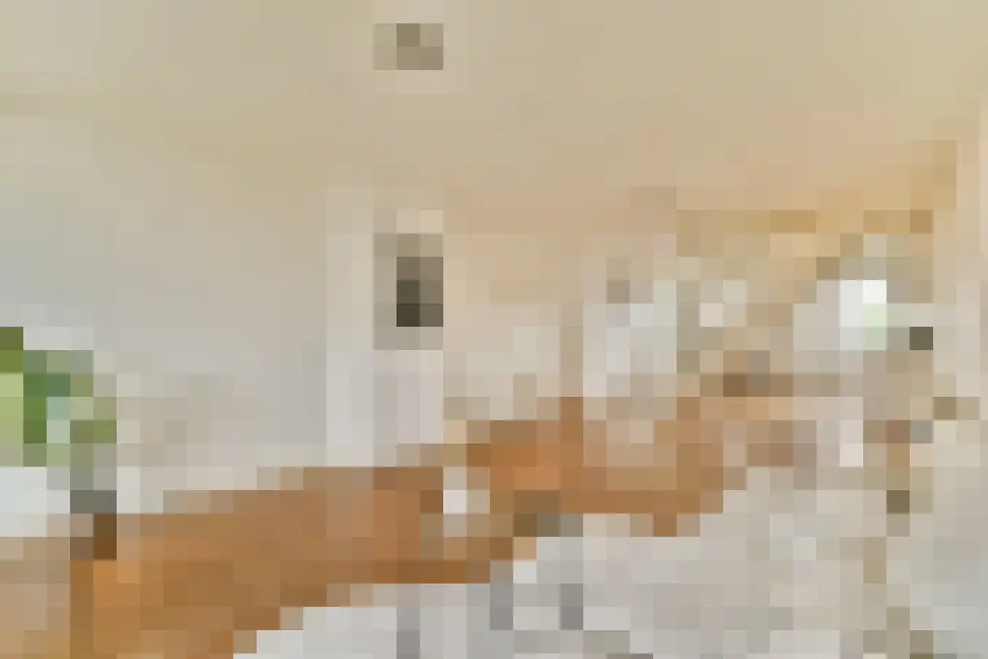 Ladogameerhof 312 Amsterdam thumbnail 13