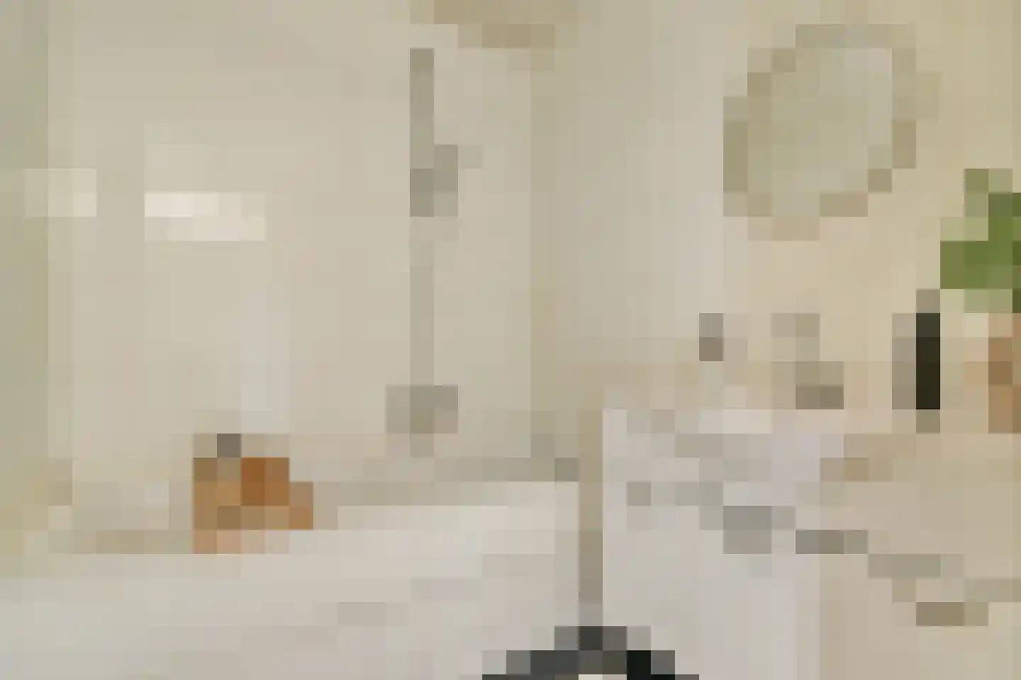 Ladogameerhof 312 Amsterdam thumbnail 23