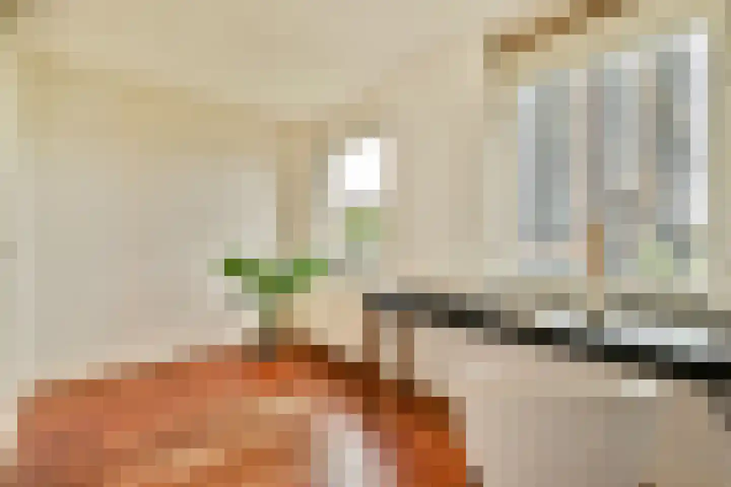 Ladogameerhof 312 Amsterdam thumbnail 26