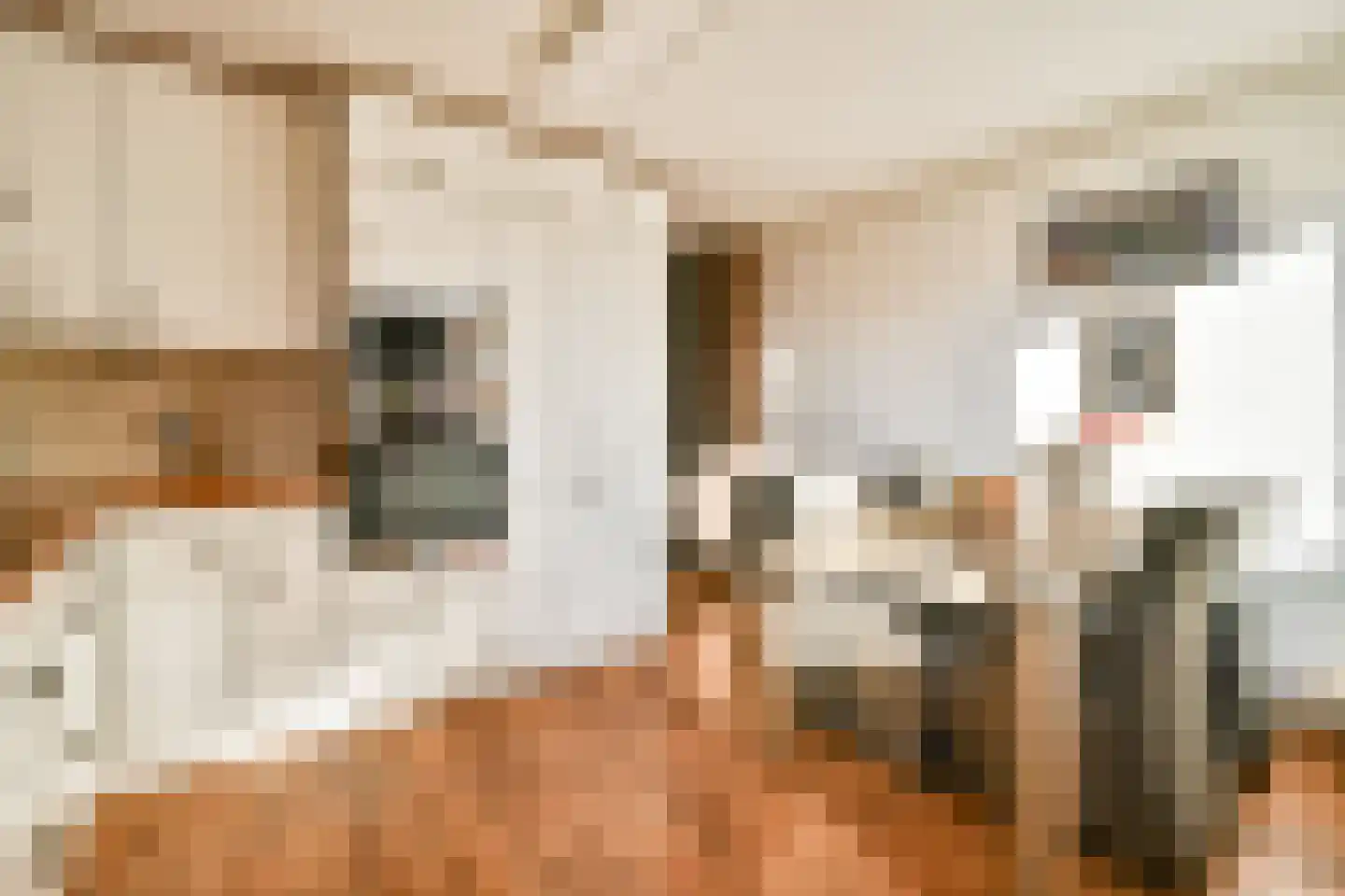 Ladogameerhof 313 Amsterdam thumbnail 10