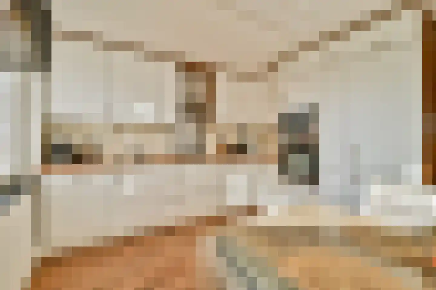 Ladogameerhof 313 Amsterdam thumbnail 11