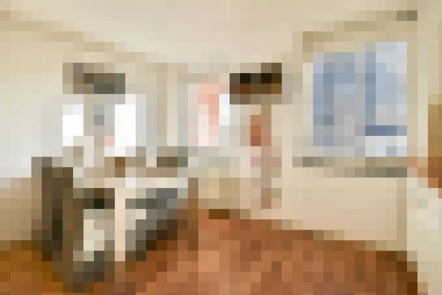 Ladogameerhof 313 Amsterdam thumbnail 12