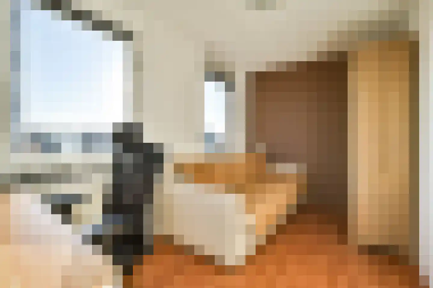 Ladogameerhof 313 Amsterdam thumbnail 17